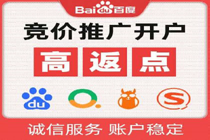 大型企业SEM外包实战案例